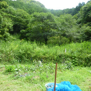 和歌山県西牟婁郡白浜町内の川 売土地 画像1